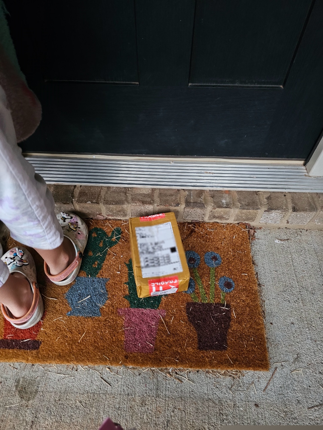 첫 프리패스 이용