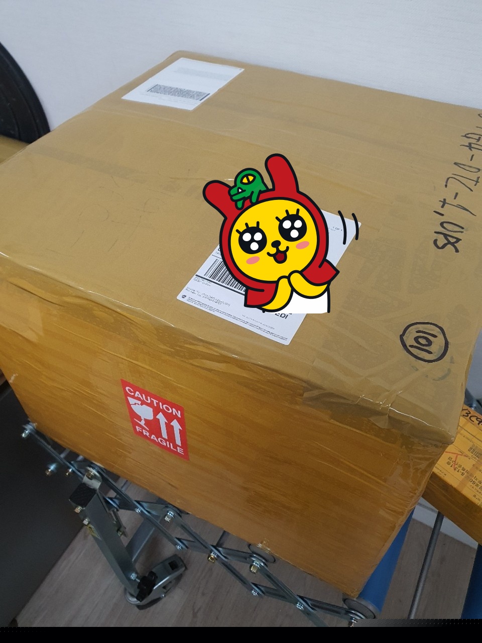 미국까지 로켓배송